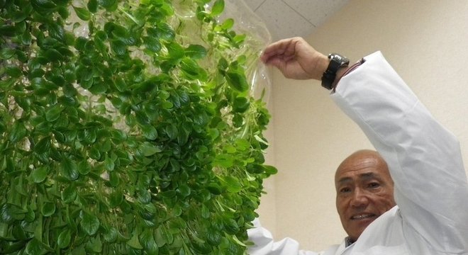 Mebiol Yuichi Mori inspirou-se nas membranas usadas em rins artificiais para desenvolver películas de polímero para uso na agricultura 