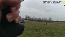 Zebra quase arranca braço de idoso na mordida, e leva tiro de .12 na cabeça
