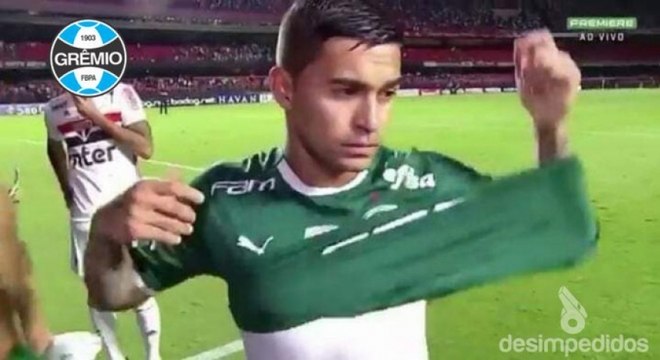 Zoeira na web: veja os memes da queda do Palmeiras na Libertadores - Lance  - R7 Humor Esportivo