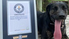 Cadela bate recorde mundial com a língua mais longa em um cão vivo