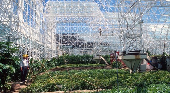 "Era como criar uma espécie de Jardim do Éden em interiores"