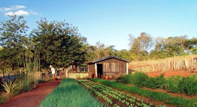 Zona Urbana - O que é, características e processo de urbanização