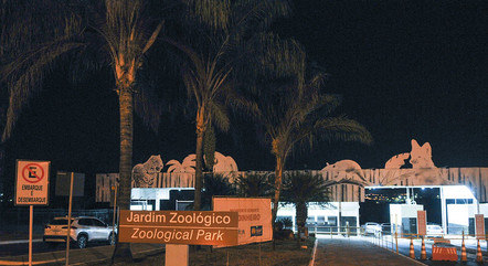 Visitas do Zoo Noturno são realizadas das 19h às 21h