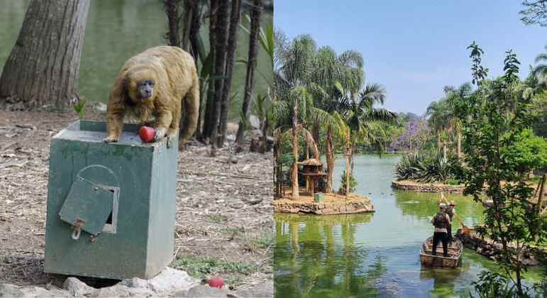 Zoológico oferece frutas ricas em água e 'piscinas' aos animais