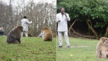 Ooh, baby! Zoológico contrata sósia de Marvin Gaye para embalar reprodução de macacos 