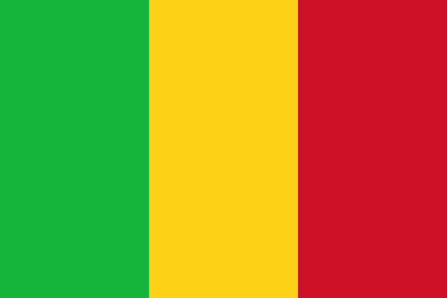 Zuurbier tem um contrato para gerenciar o domínio dos sites de Mali desde 2013.